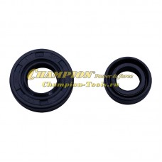 Сальники коленвала для мотокос 43, 52 куб. см, комплект (12*22*7 + 15*30*7) Сальники коленвала для мотокос 43, 52 куб. см, комплект (12*22*7 + 15*30*7)