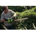 Кусторез Greenworks G40HT61 40V (61 см) аккумуляторный Кусторез Greenworks G40HT61 40V (61 см) аккумуляторный