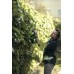 Кусторез Greenworks G40HT61 40V (61 см) аккумуляторный Кусторез Greenworks G40HT61 40V (61 см) аккумуляторный
