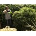 Кусторез Greenworks G40HT61 40V (61 см) аккумуляторный Кусторез Greenworks G40HT61 40V (61 см) аккумуляторный