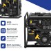 Бензиновый генератор Hyundai HHY 3020F Бензиновый генератор Hyundai HHY 3020F