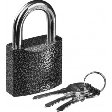 STAYER 50х42х22 мм, металлический корпус, закаленная дужка, замок навесной TOPLock 37160-50 STAYER 50х42х22 мм, металлический корпус, закаленная дужка, замок навесной TOPLock 37160-50