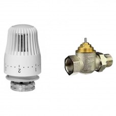 Комплект Ридан и терморегулятор TR-G Ду20 прямой (TR 84) Комплект Ридан и терморегулятор TR-G Ду20 прямой (TR 84)