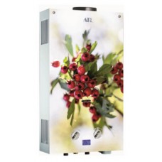 Газовая колонка ATLAN 1-10/3-10 LT Декор Боярышник, 10л/мин Газовая колонка ATLAN 1-10/3-10 LT Декор Боярышник, 10л/мин