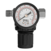 Регулятор давления с манометром DENZEL R1500, 12 бар, 1/4" Регулятор давления с манометром DENZEL R1500, 12 бар, 1/4"