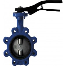 Затвор дисковый Giacomini поворотный с проушинами DN125, R59FLY012 Затвор дисковый Giacomini поворотный с проушинами DN125, R59FLY012